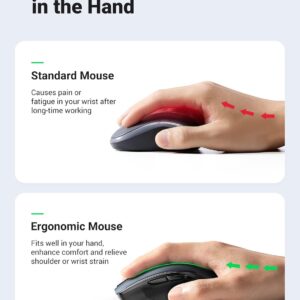 Chuột máy tính Bluetooth công thái học Ugreen MU006 - Hình ảnh 9