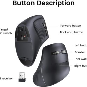 Ugreen MU008 - Chuột Bluetooth Công Thái Học Tích Hợp Wifi 2.4G - Hình ảnh 5